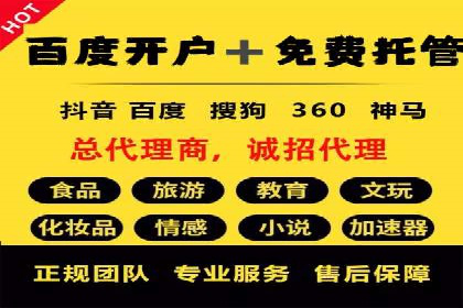案例研究：竞价广告助力电商行业增长